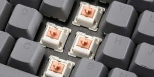 What are Holy Panda Switches